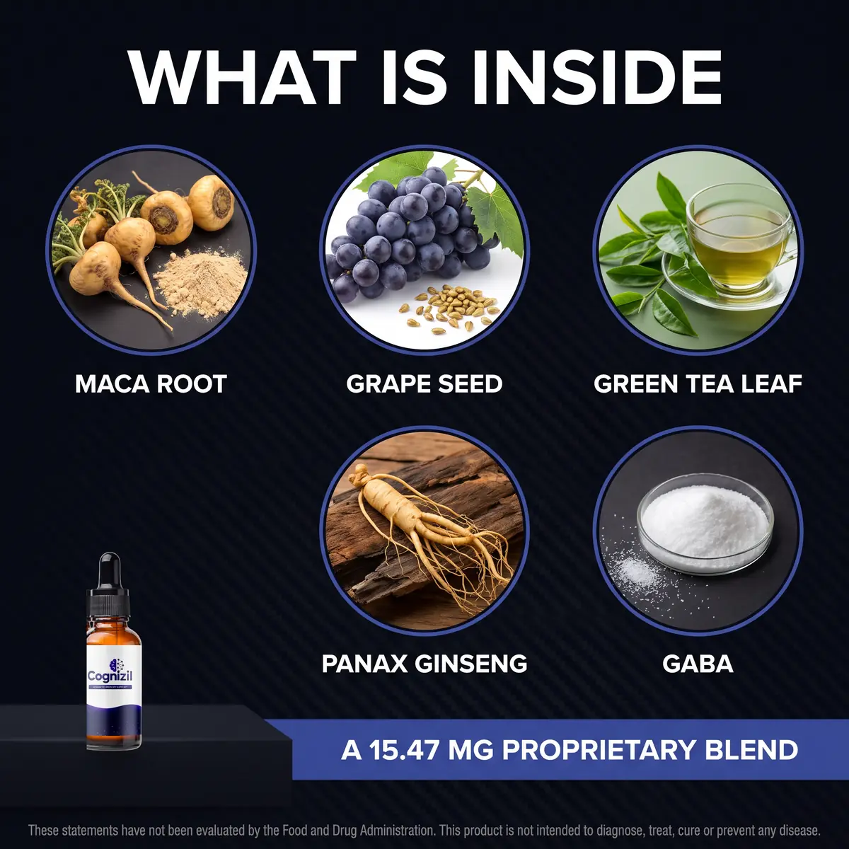 Cognizil ingredients: maca root, grape seed, green tea leaf, panax ginseng and GABA
